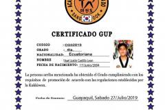 a-castillo-l-tkd