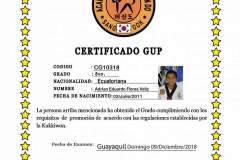 a-flores-v-tkd