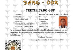 a-goya-c-tkd