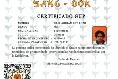 diploma-uno-solo