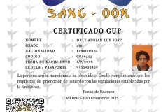 diploma-uno-solo