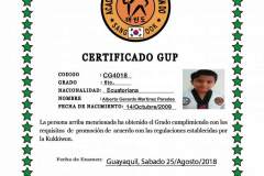 a-martinez-p-tkd
