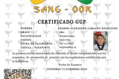 diploma-uno-solo