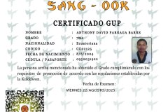 diploma-uno-solo