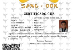 diploma-uno-solo
