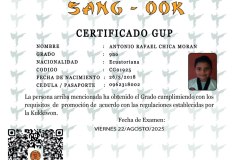 diploma-uno-solo