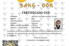 diploma-uno-solo