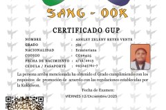 diploma-uno-solo