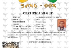 diploma-uno-solo