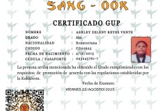 diploma-uno-solo