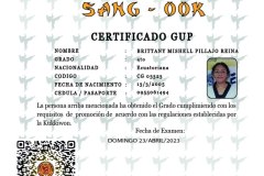 brittany-mishell-pillajo-reina-tkd