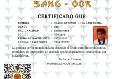 diploma-uno-solo