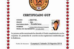 c-mosquera-t-tkd