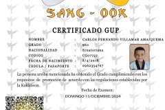 diploma-uno-solo