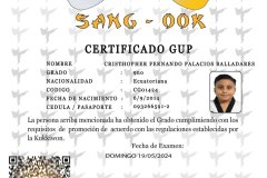 cristhopher-fernando-palacios-balladares-tkd.png