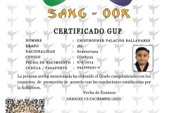 diploma-uno-solo