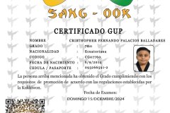 diploma-uno-solo