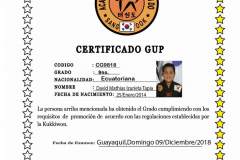 d-izurieta-t-tkd