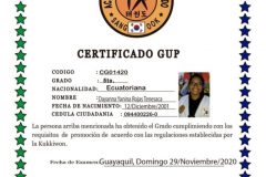 d-rojas-t-tkd