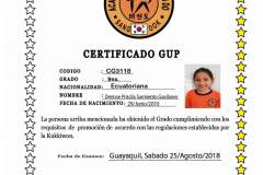 d-sarmiento-g-tkd
