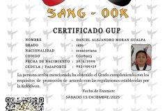 diploma-uno-solo