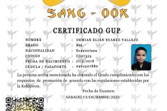 diploma-uno-solo