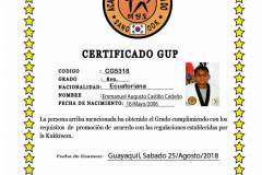 e-castillo-c-tkd
