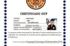 e-goya-v-tkd
