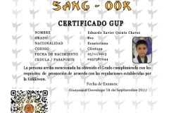 e-quinto-ch-tkd