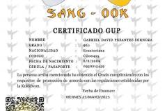 gabriel-david-pesantes-sornoza-tkd