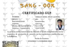 gerald-ariel-solis-lachira-tkd