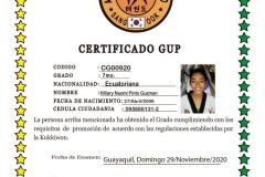 h-pinto-g-tkd