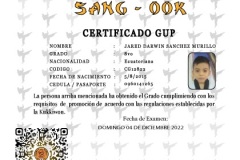 j-sanchez-m-tkd