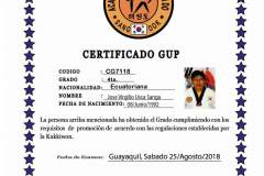 j-usca-s-tkd