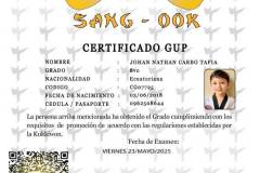 1_johan-nathan-carbo-tapia-tkd