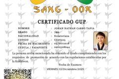 diploma-uno-solo