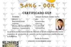 diploma-uno-solo