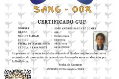 diploma-uno-solo