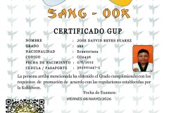 jose-dayvid-reyes-suarez-tkd