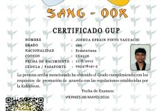 joshua-efrain-pinto-yaguachi-tkd