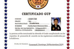 k-villavicencio-n-tkd