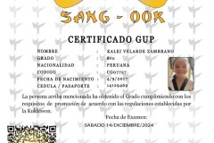 kalei-velarde-zambrano-tkd