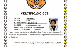 l-briones-a-tkd