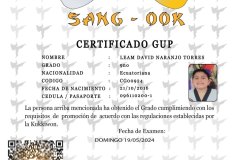 leam-david-naranjo-torres-tkd