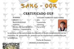 luciano-fabricio-saez-parra-tkd