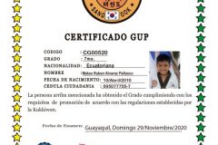 CG00520
