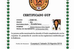 m-alvia-c-tkd