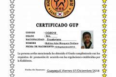 m-mosquera-o-tkd