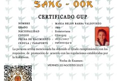 diploma-uno-solo