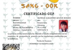 diploma-uno-solo